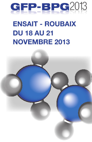 Colloque GFP-BPG 2013, du 18 au 21 novembre 2013, Ecole Nationale Supérieure des Arts et Industries Textiles, Roubaix.